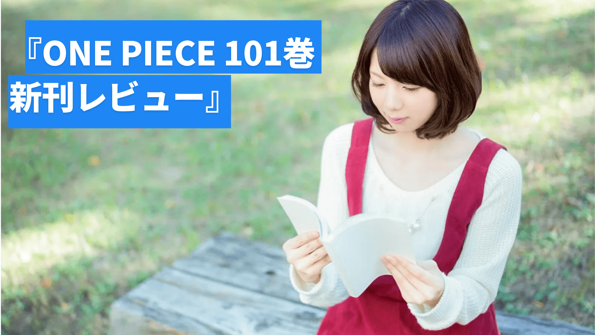 One Piece 101巻 尾田栄一郎 新刊あらすじ レビュー ネタバレあり イマカエ